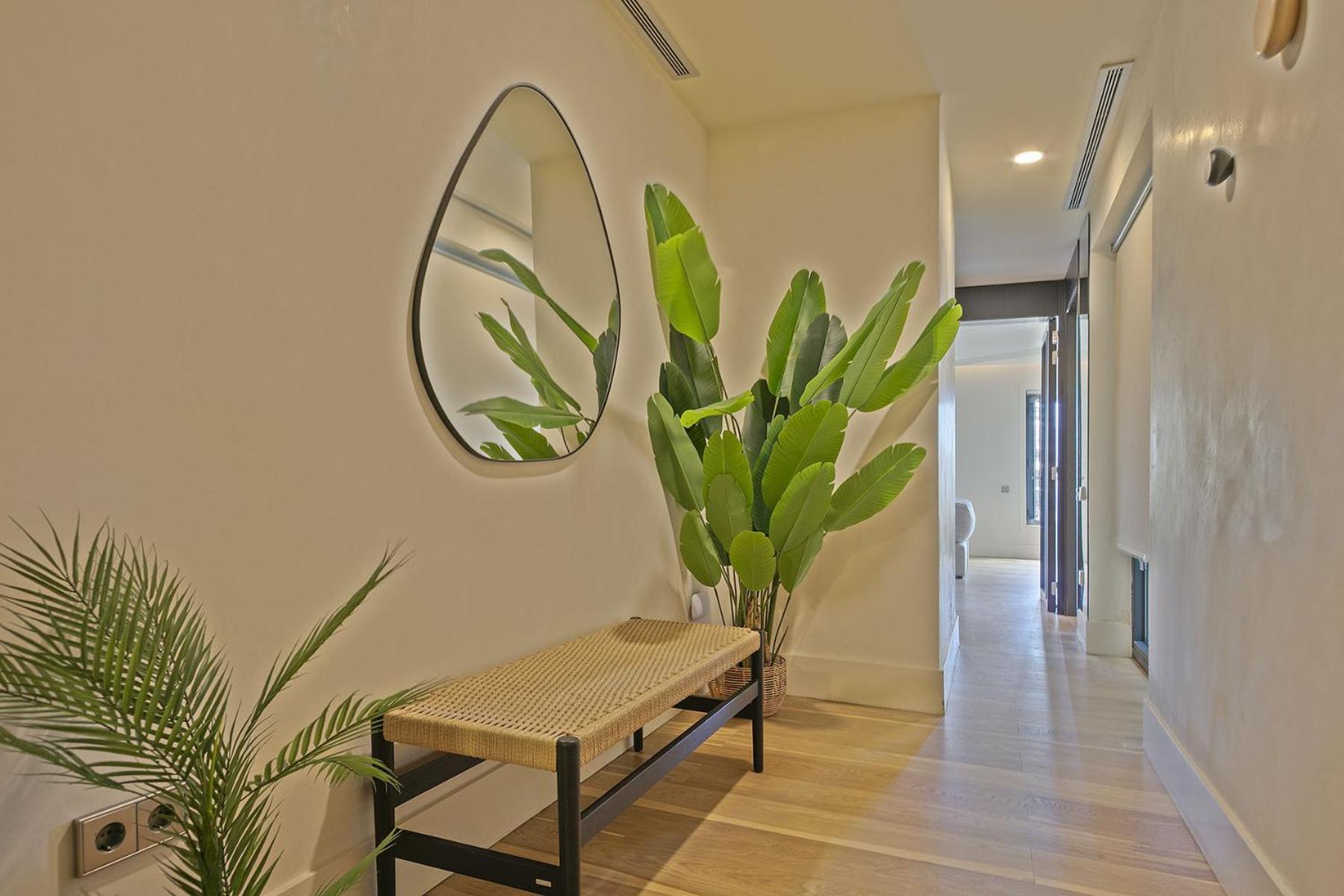 Ola Living Paseo De Gracia Apartment Барселона Екстериор снимка
